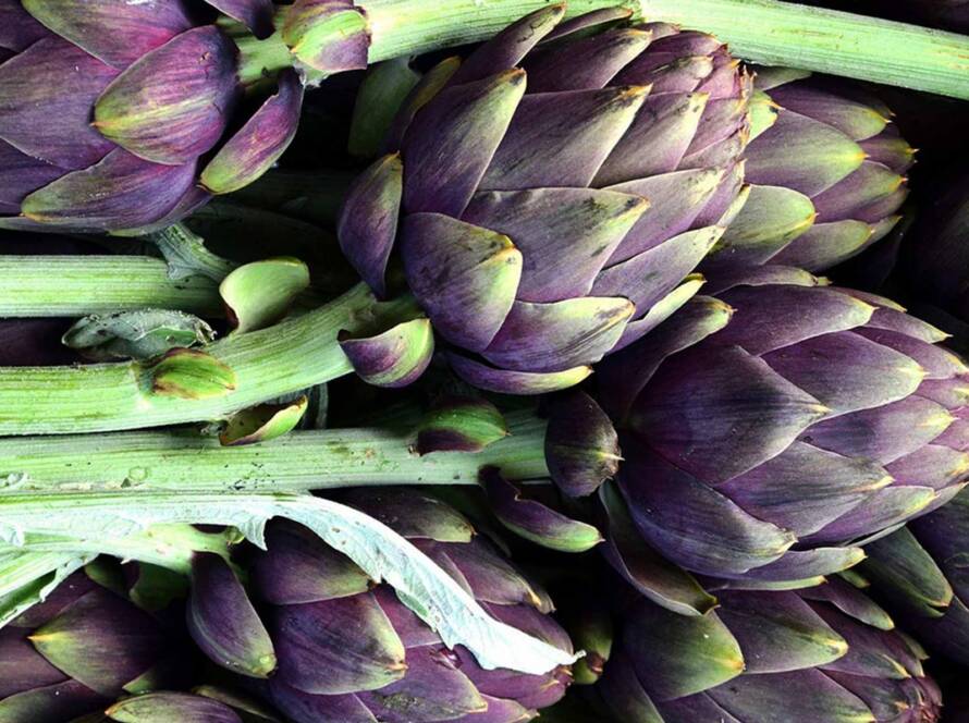 Carciofi Moretti freschi 2B